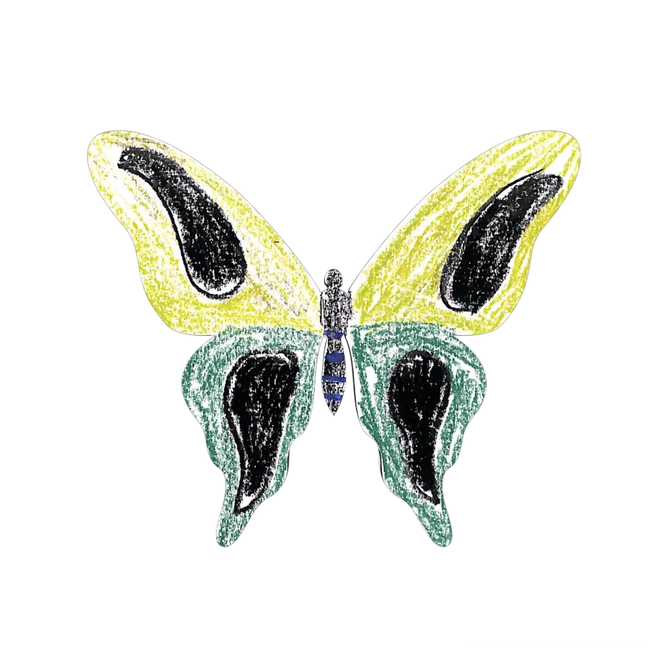 Original Butterfly Image