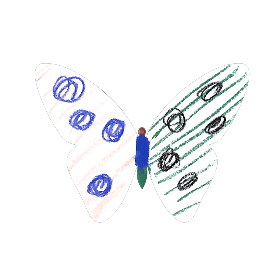Original Butterfly Image