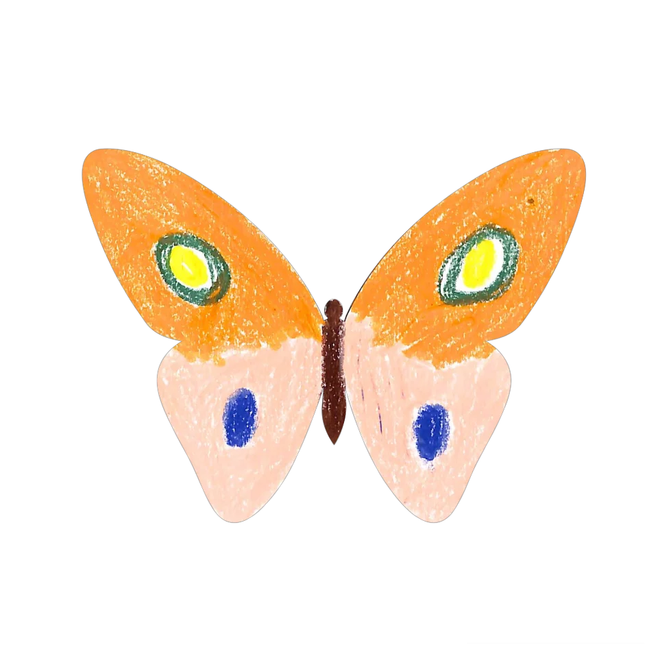 Original Butterfly Image