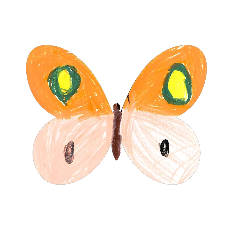Original Butterfly Image