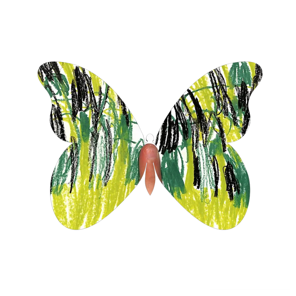 Original Butterfly Image