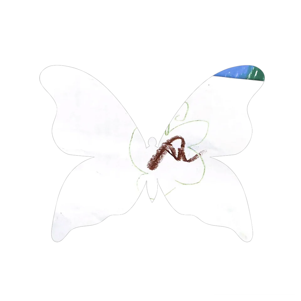 Original Butterfly Image