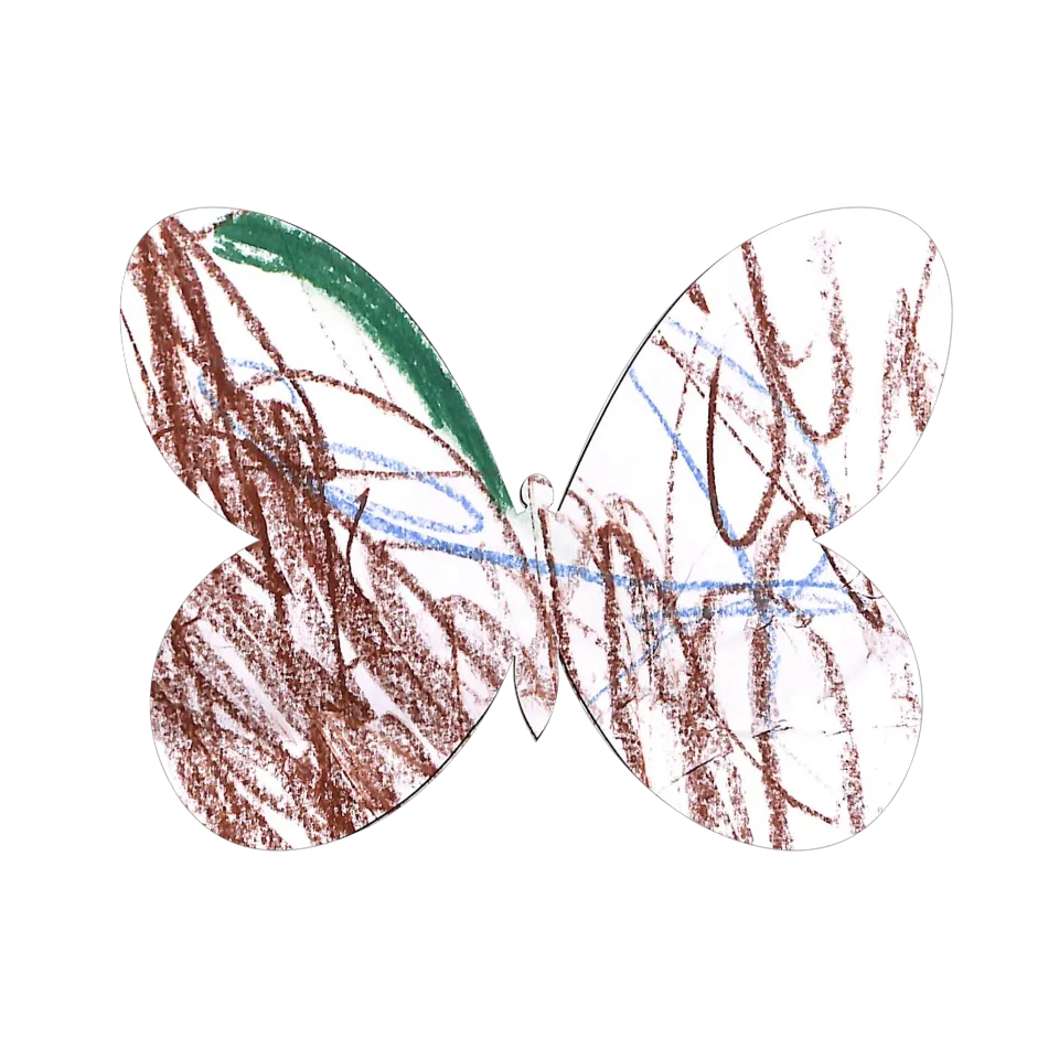 Original Butterfly Image