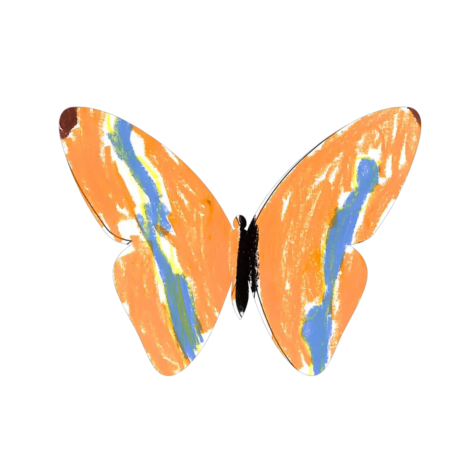 Original Butterfly Image