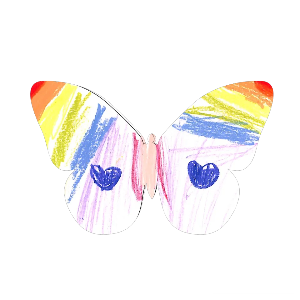 Original Butterfly Image
