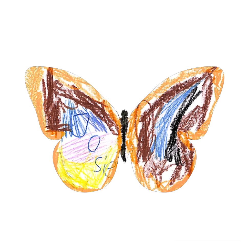 Original Butterfly Image