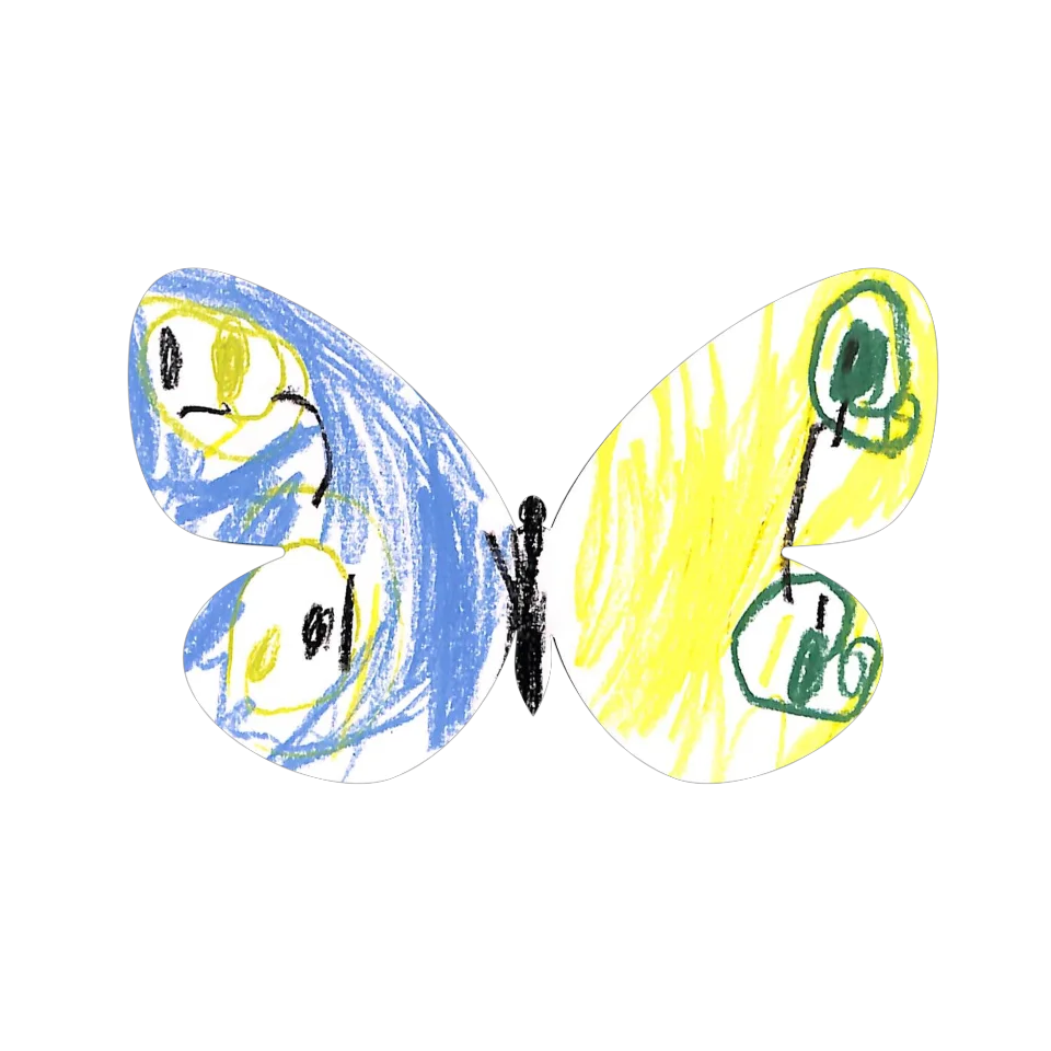Original Butterfly Image