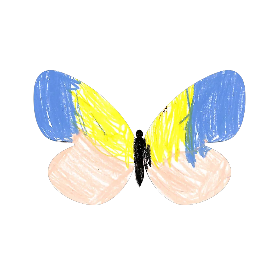 Original Butterfly Image