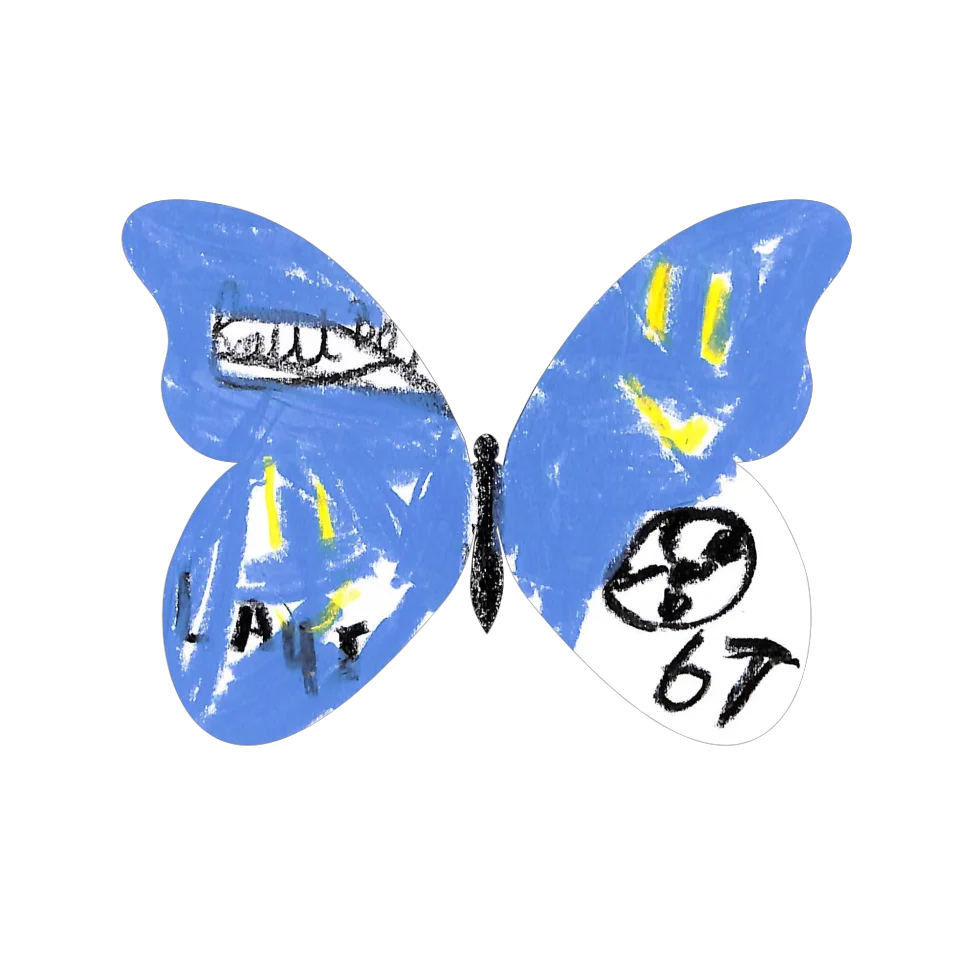 Original Butterfly Image