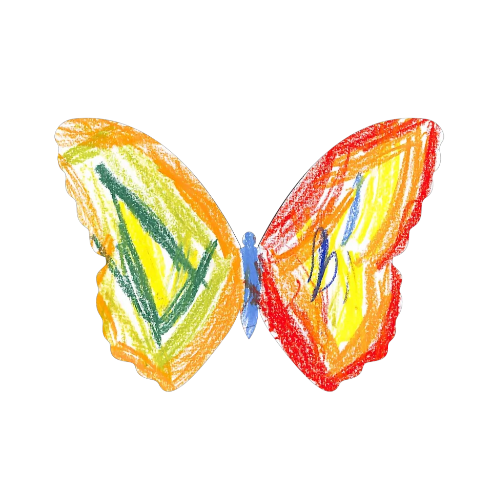 Original Butterfly Image