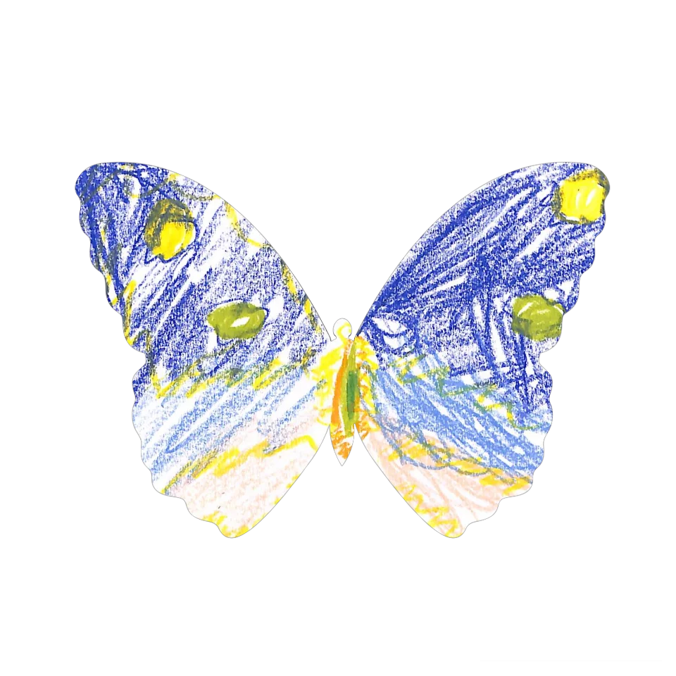 Original Butterfly Image