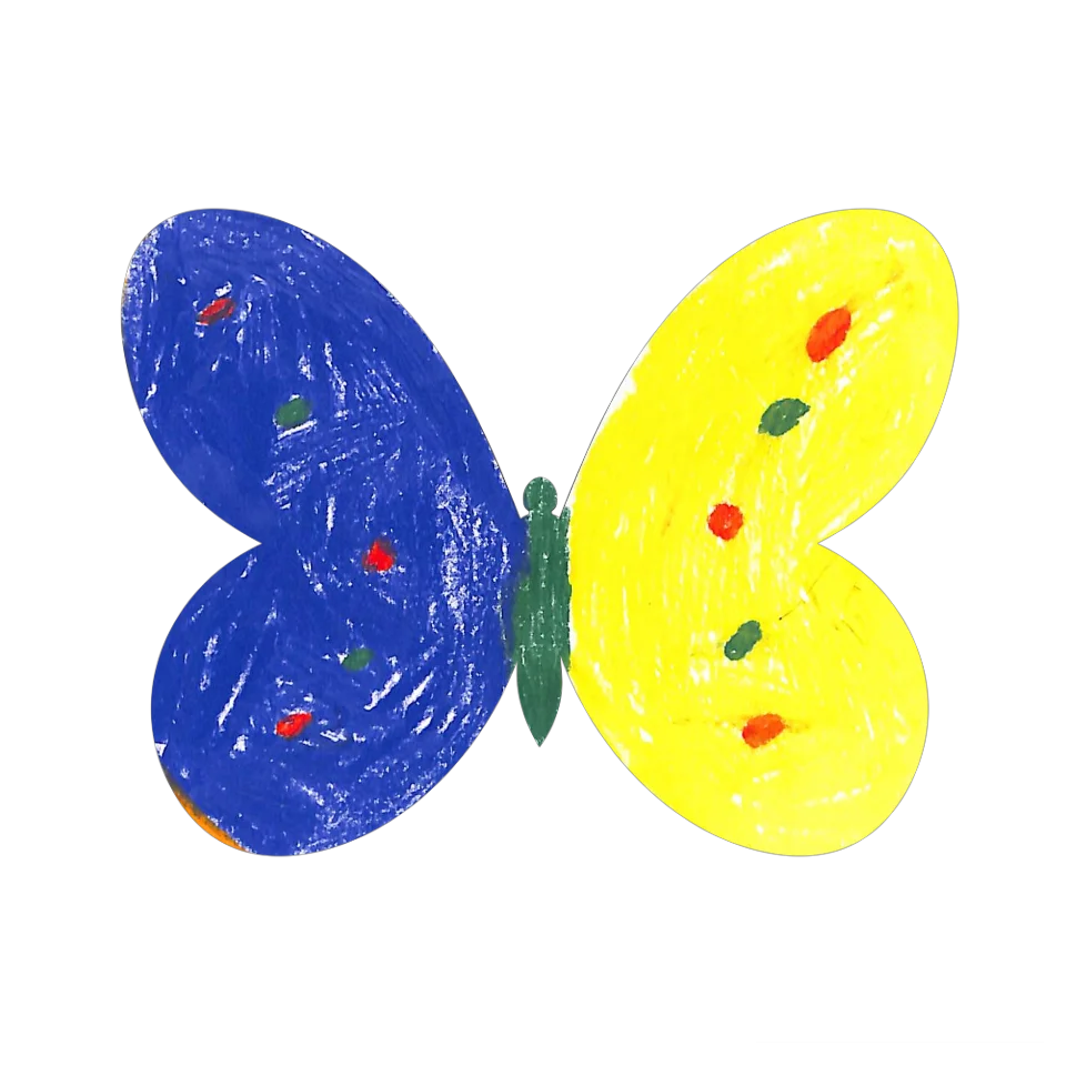 Original Butterfly Image