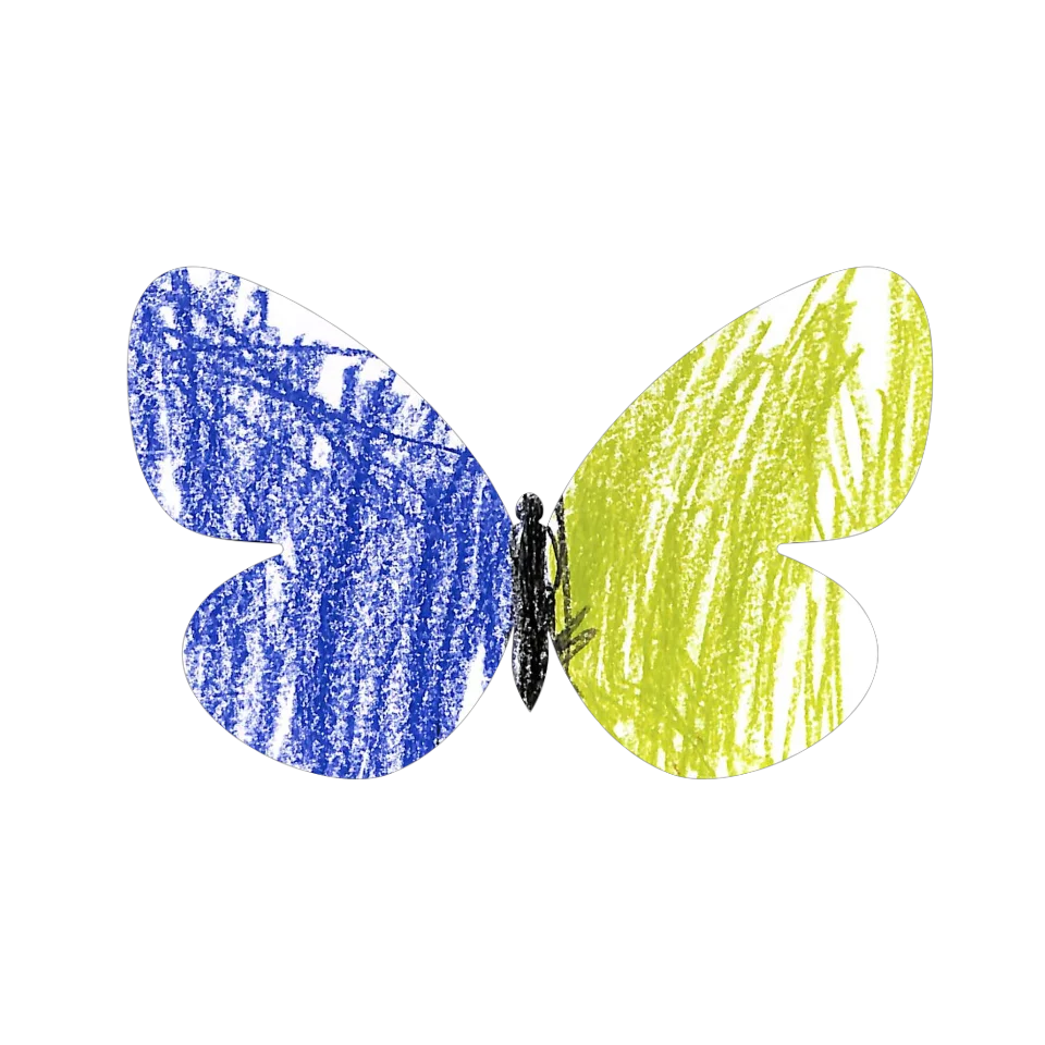 Original Butterfly Image