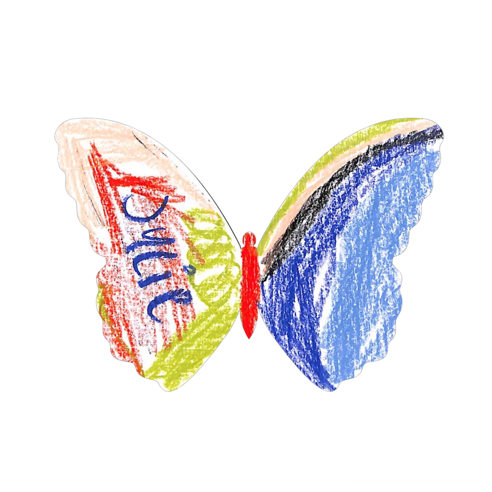 Original Butterfly Image