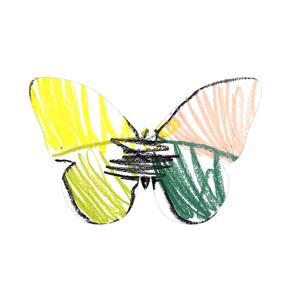Original Butterfly Image
