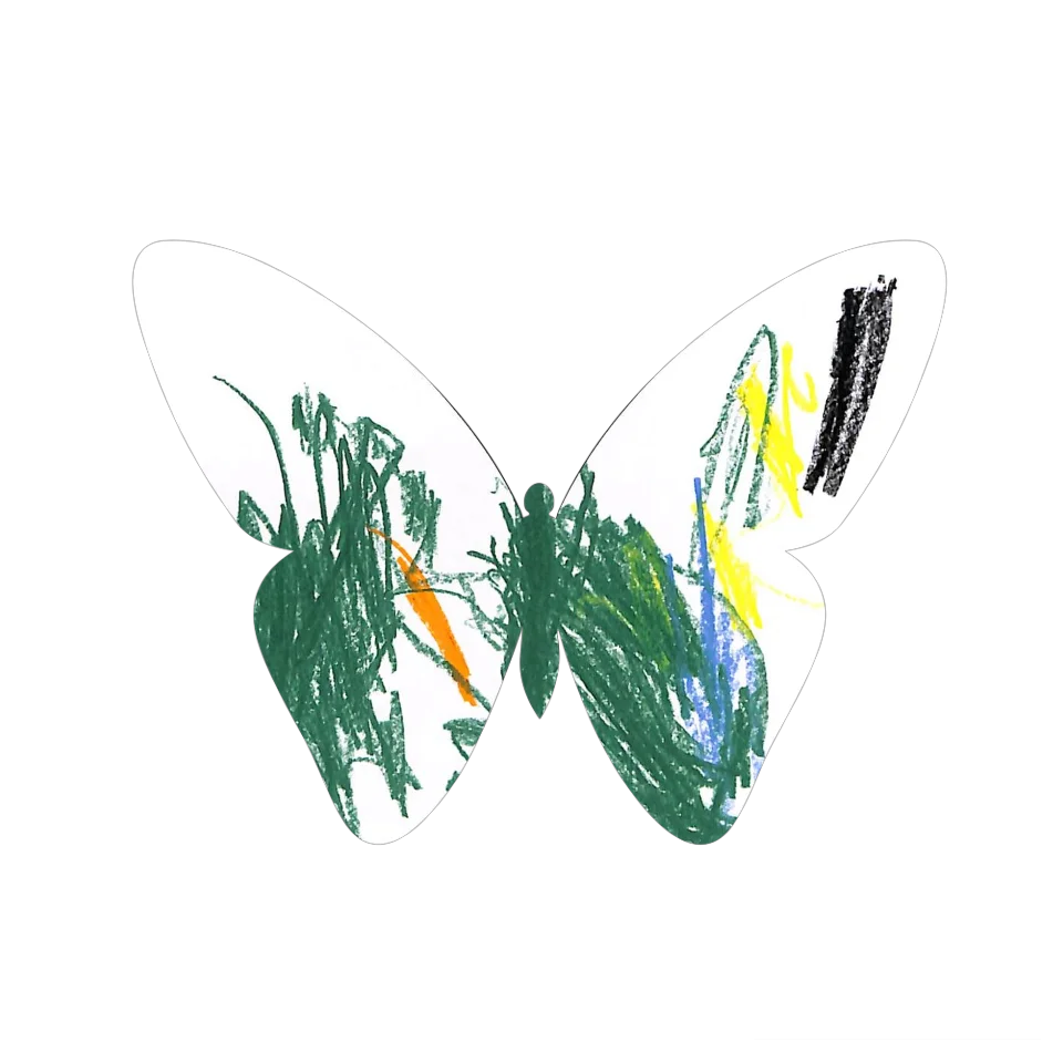 Original Butterfly Image