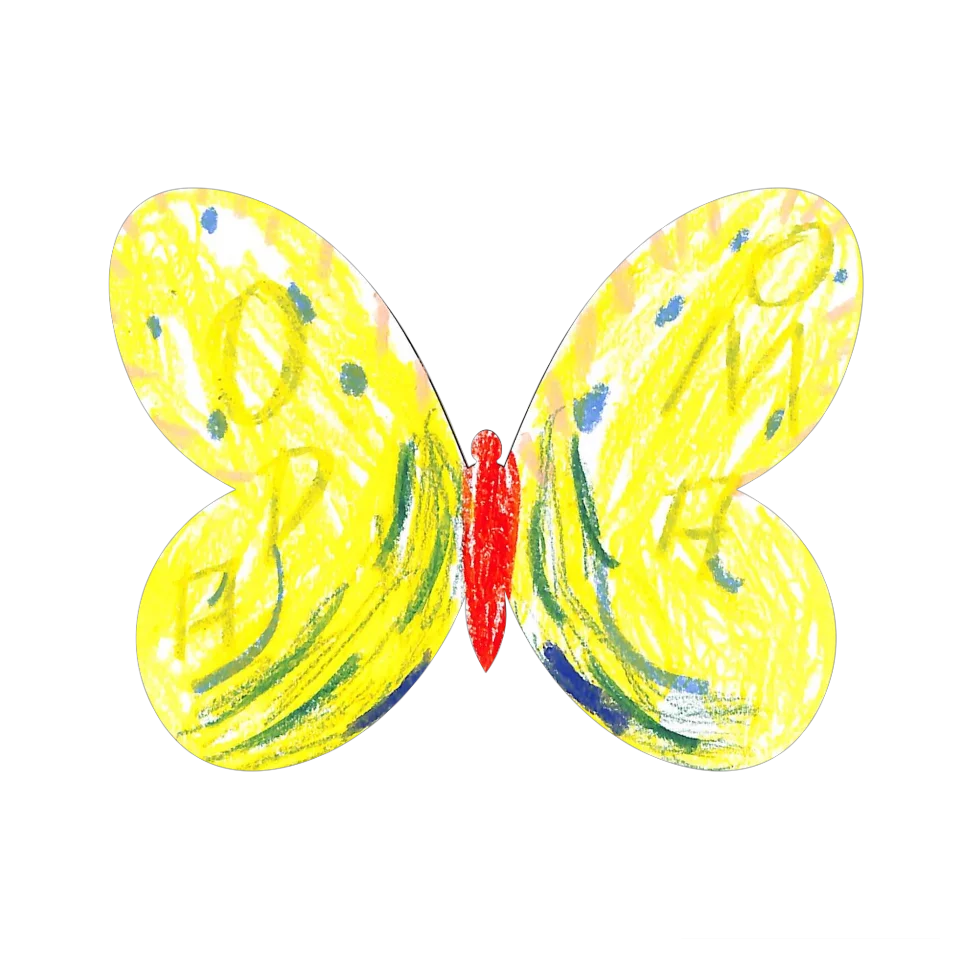Original Butterfly Image