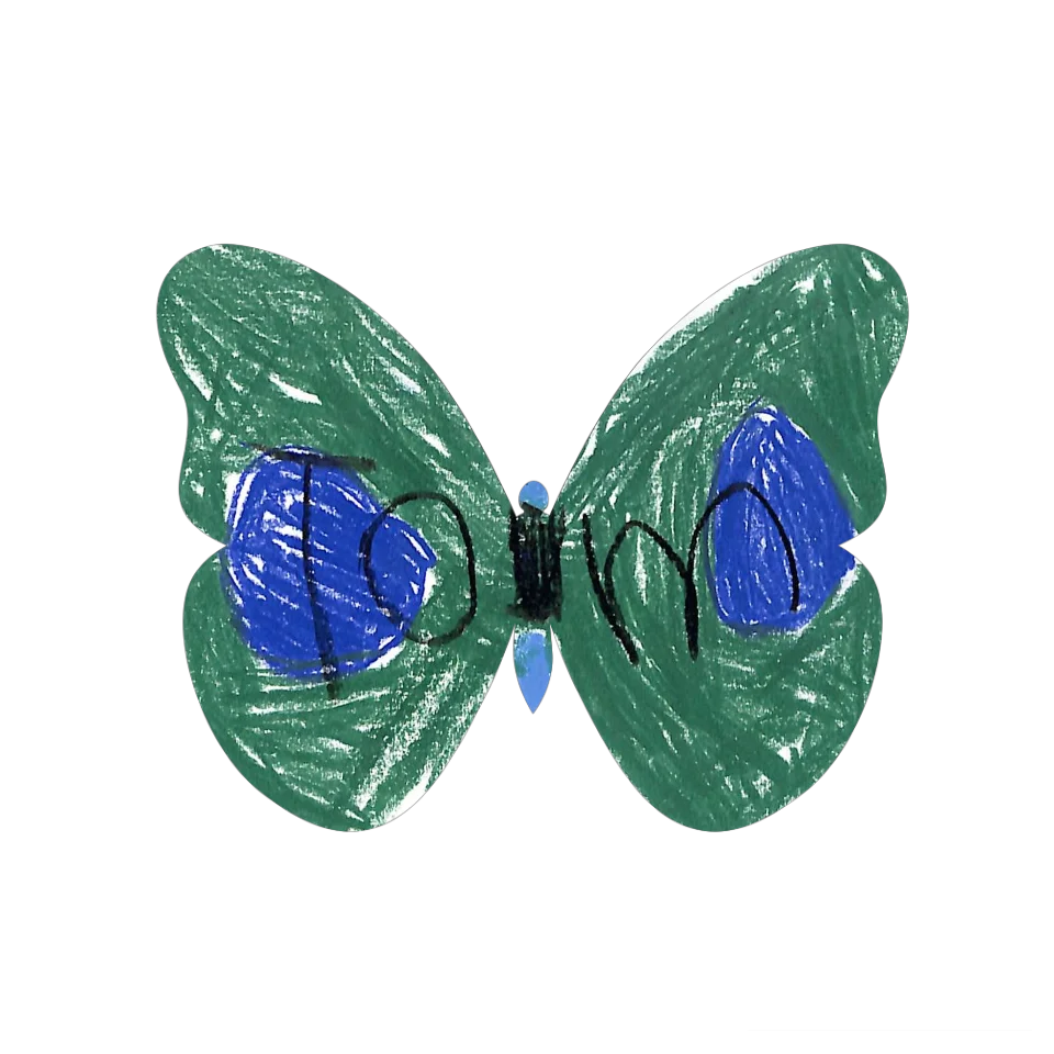 Original Butterfly Image