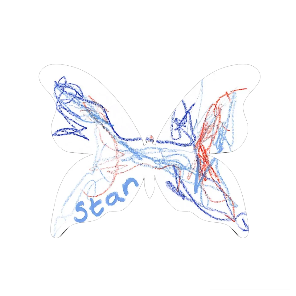 Original Butterfly Image