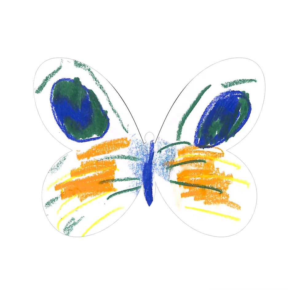 Original Butterfly Image