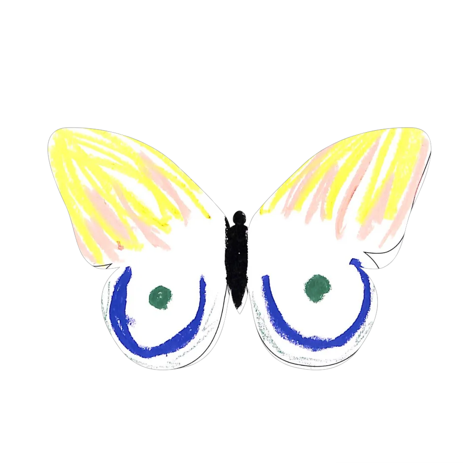Original Butterfly Image