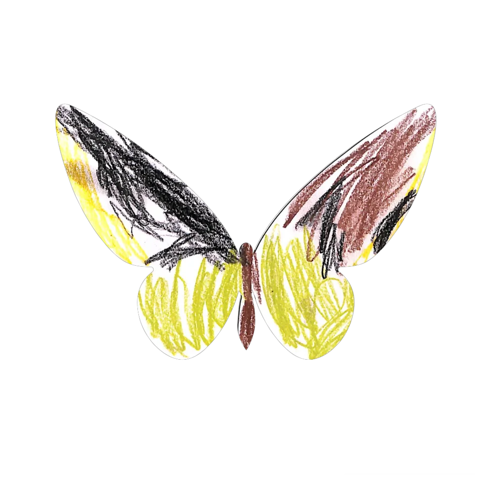 Original Butterfly Image