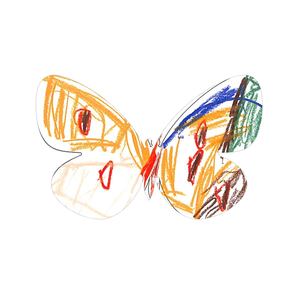 Original Butterfly Image