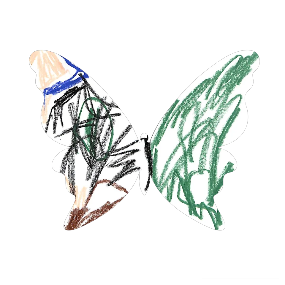 Original Butterfly Image