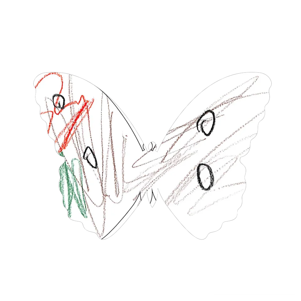 Original Butterfly Image