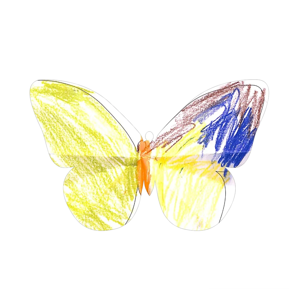 Original Butterfly Image