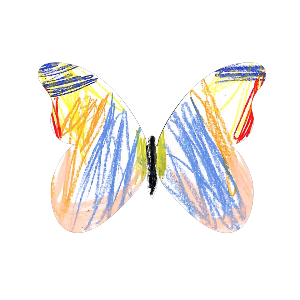 Original Butterfly Image