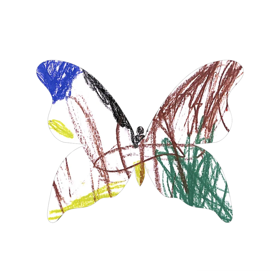 Original Butterfly Image