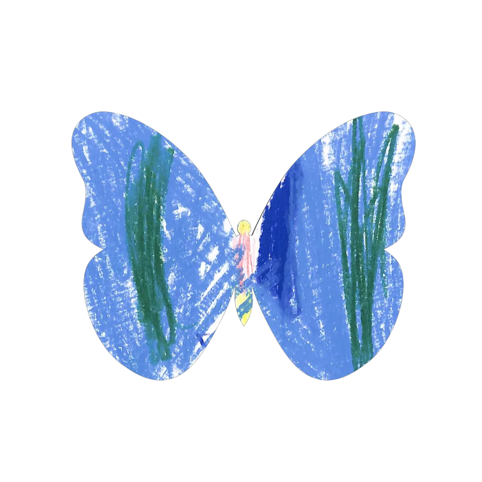 Original Butterfly Image