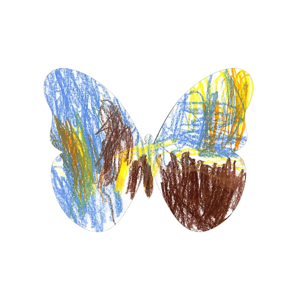 Original Butterfly Image