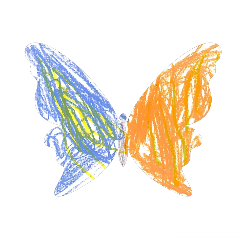 Original Butterfly Image