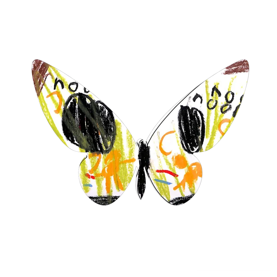 Original Butterfly Image