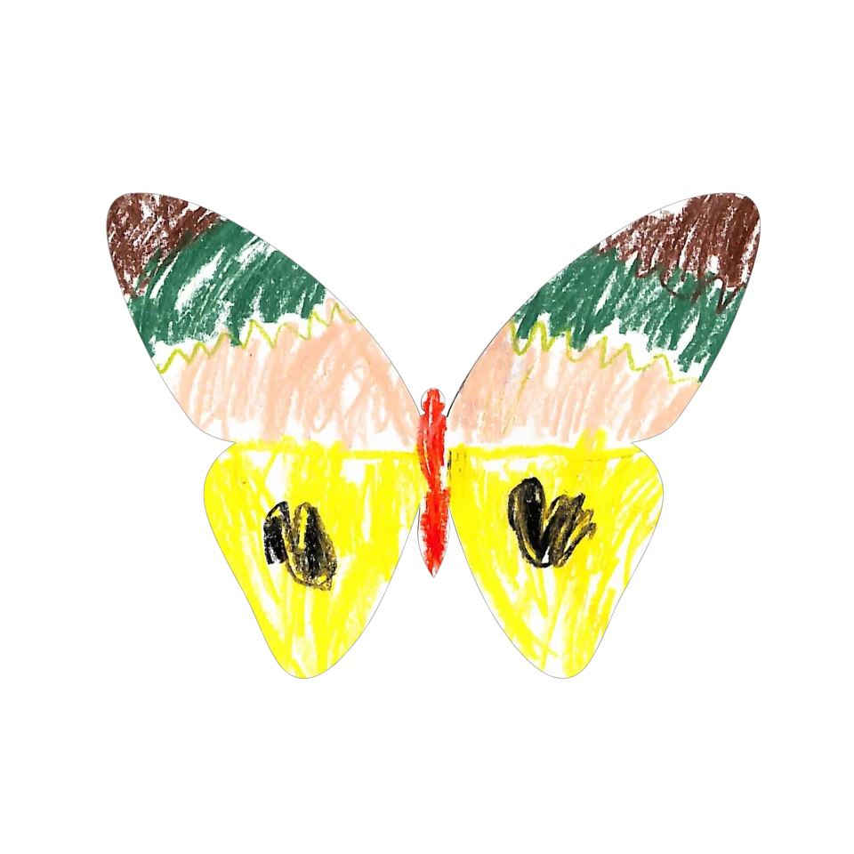 Original Butterfly Image