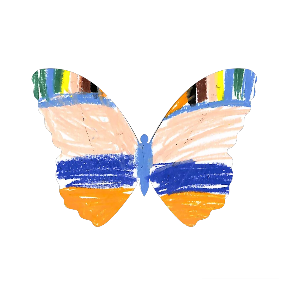 Original Butterfly Image