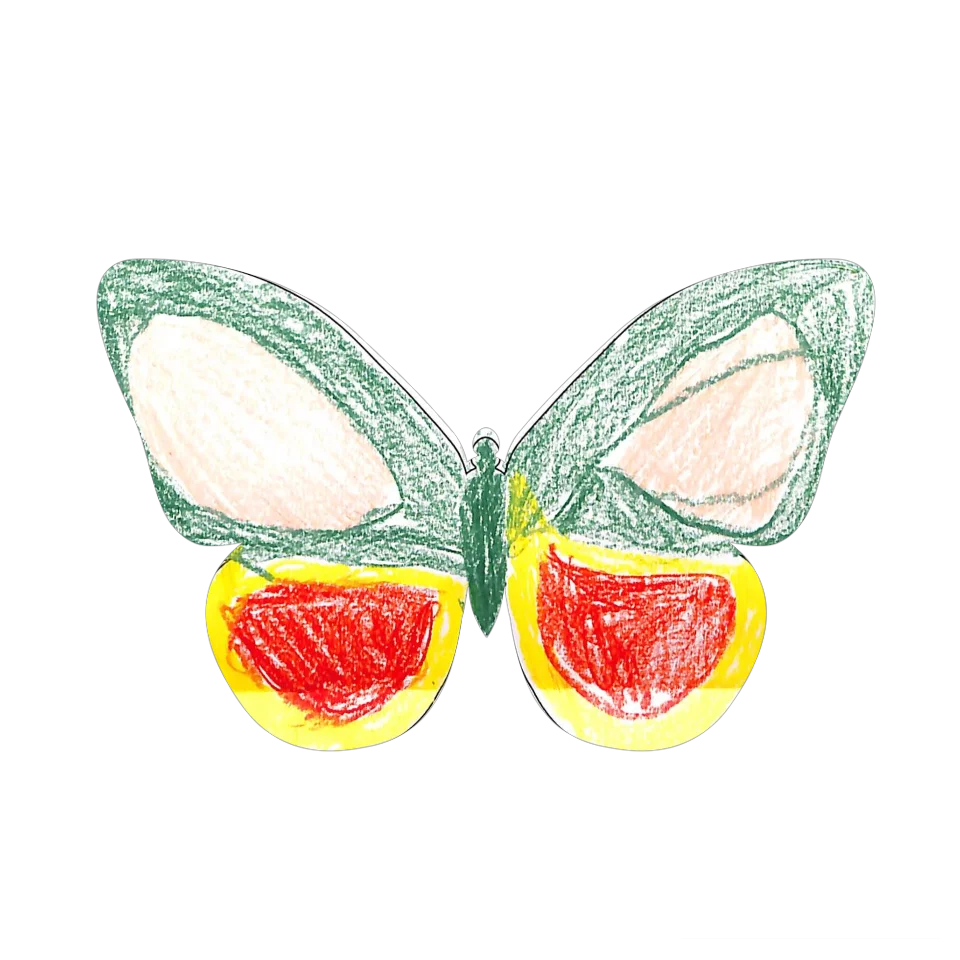 Original Butterfly Image