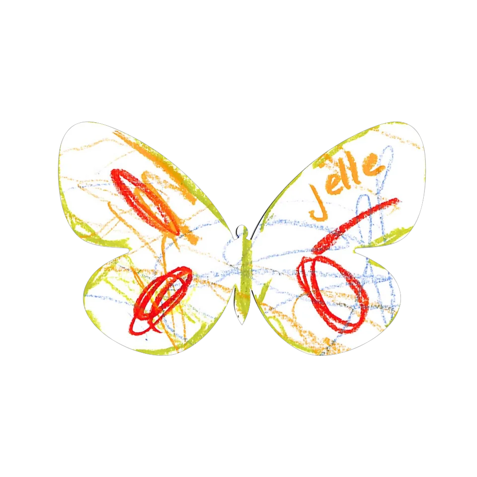 Original Butterfly Image