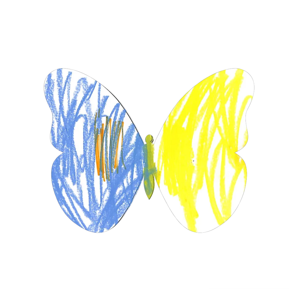 Original Butterfly Image