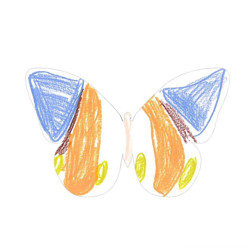 Original Butterfly Image