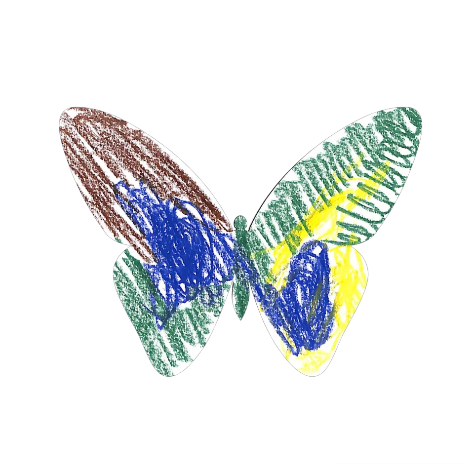 Original Butterfly Image