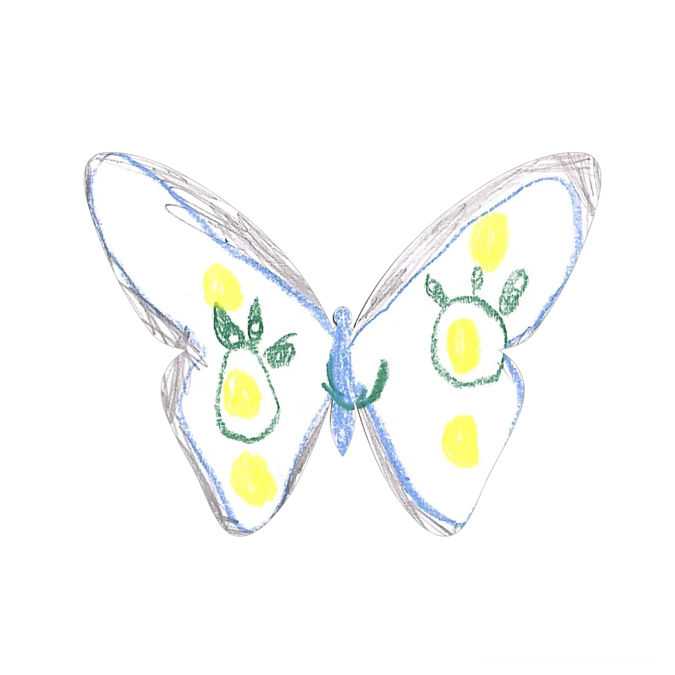 Original Butterfly Image