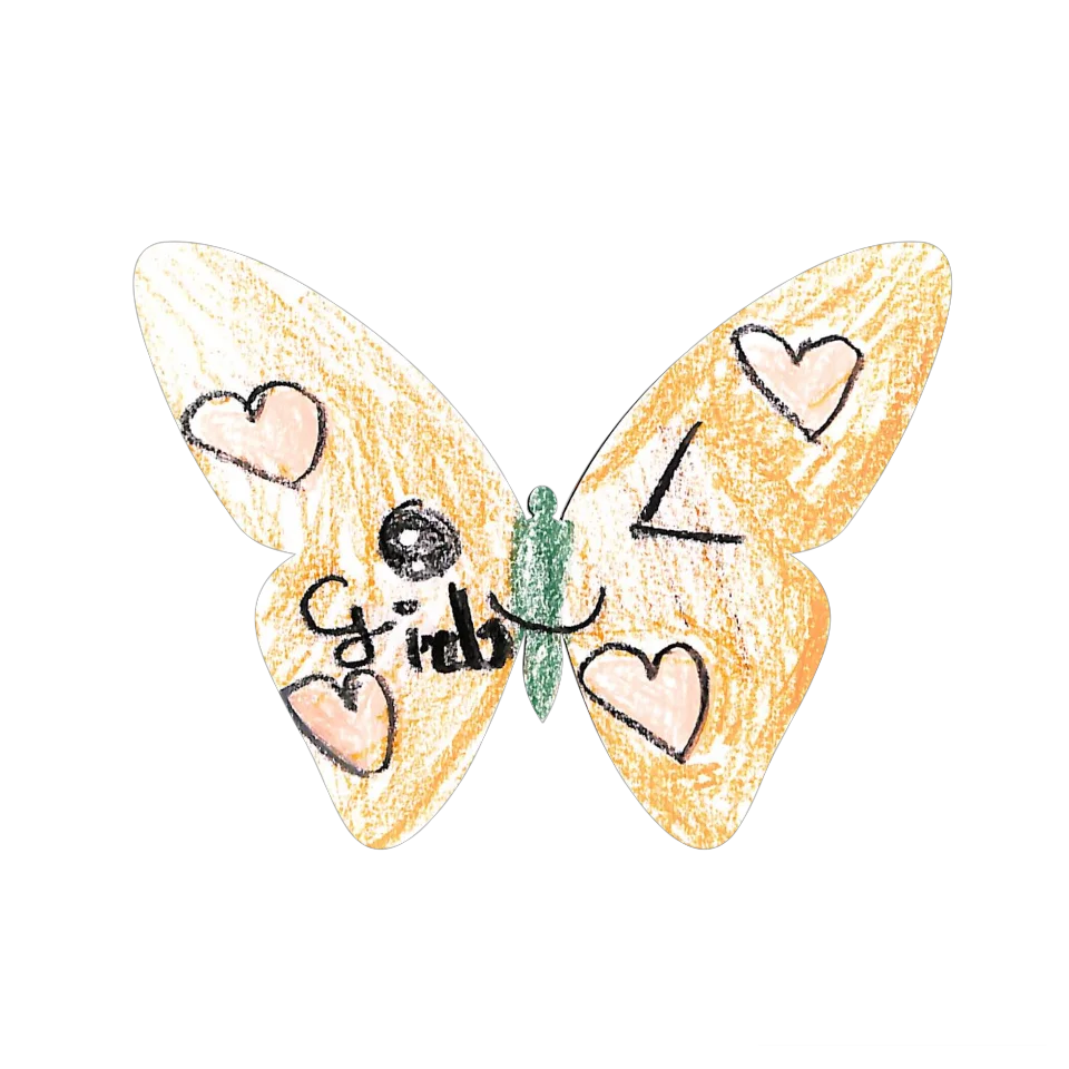 Original Butterfly Image