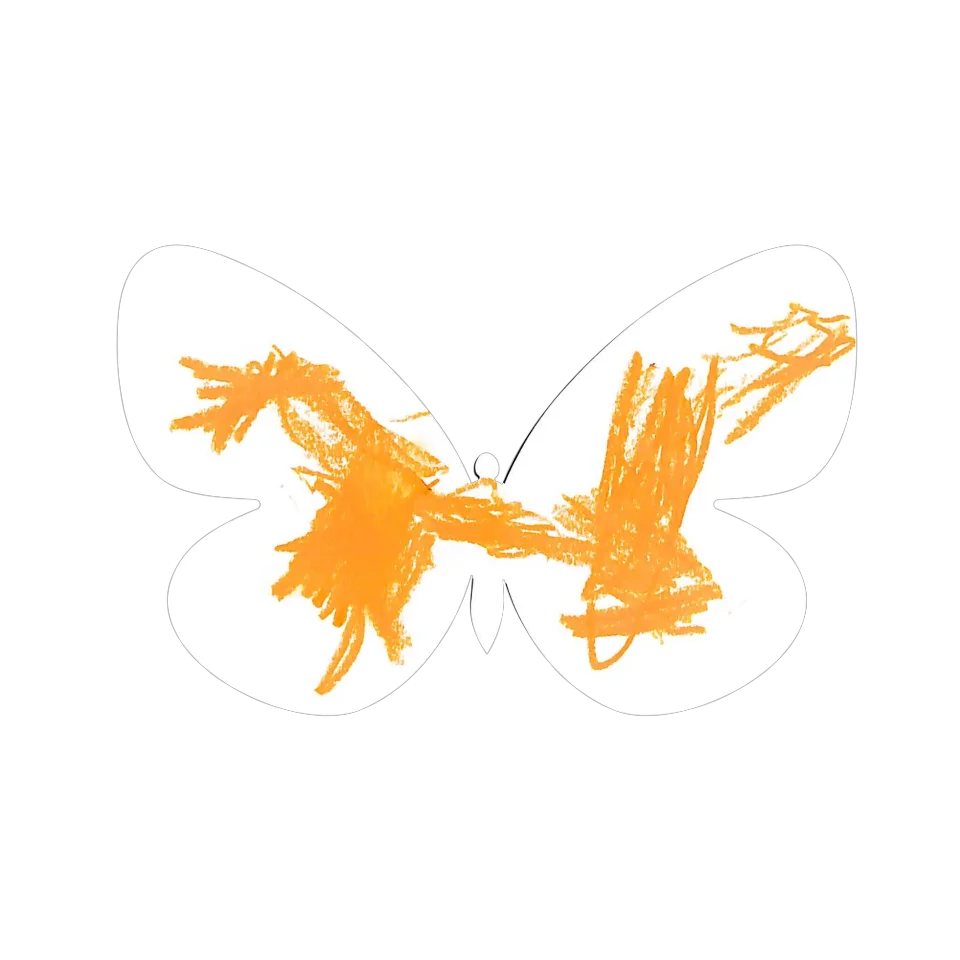 Original Butterfly Image