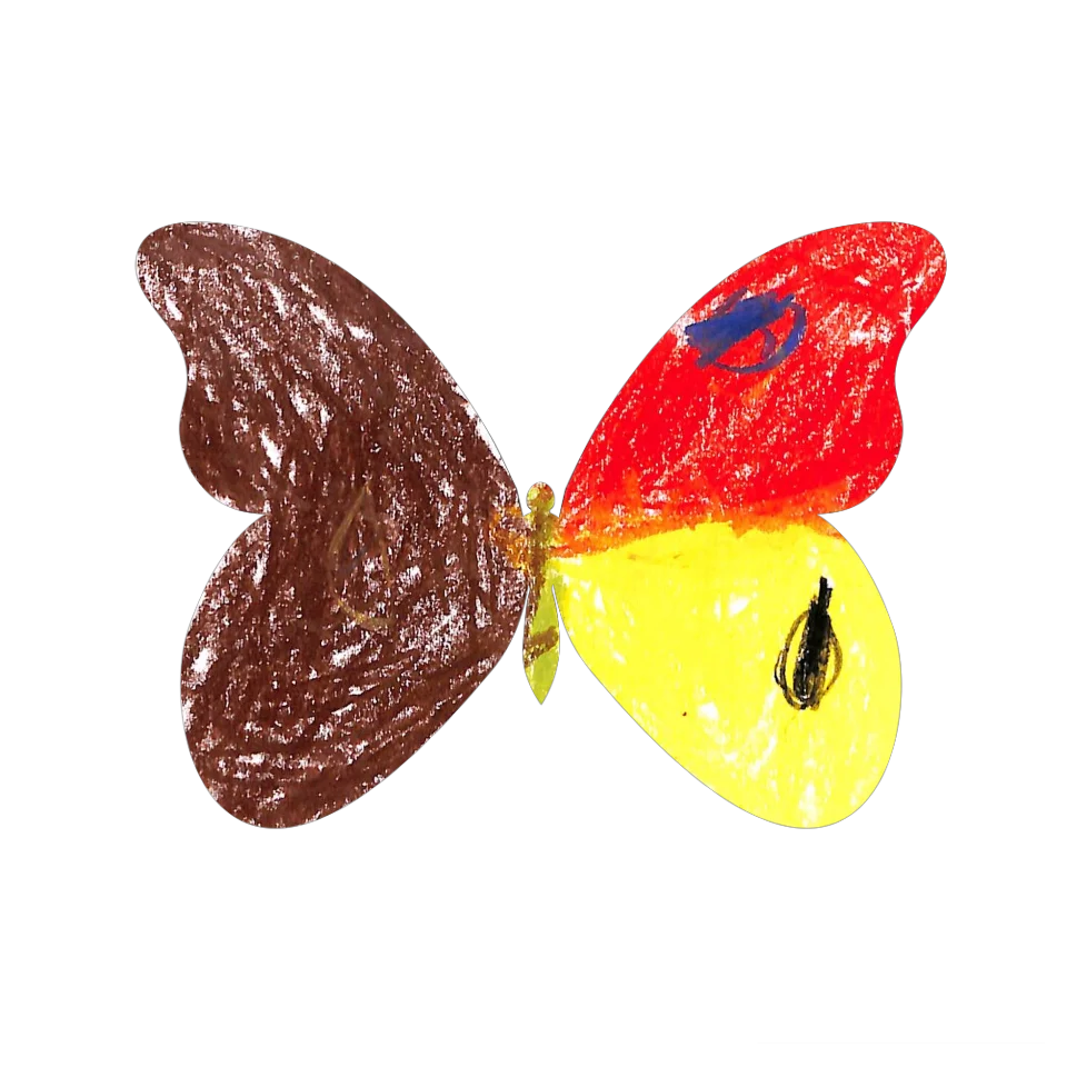 Original Butterfly Image