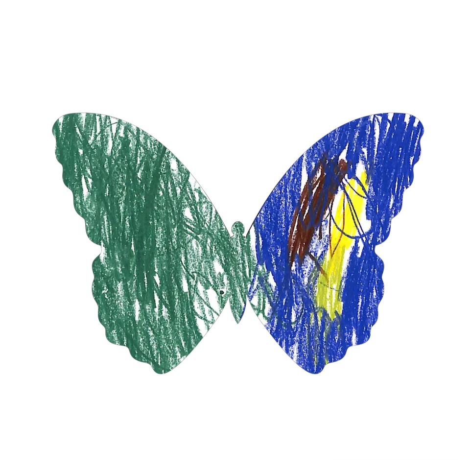 Original Butterfly Image