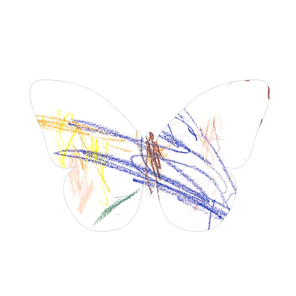 Original Butterfly Image