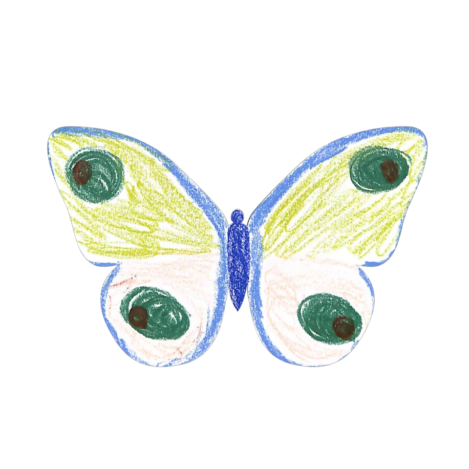 Original Butterfly Image